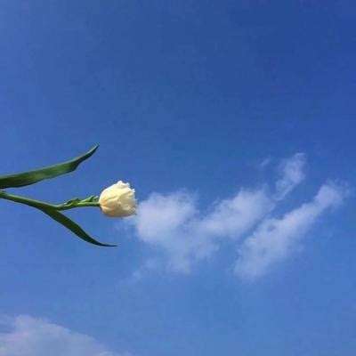 以“光”为尺|对射光纤传感器：...